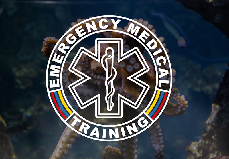 Prevención y manejo de lesiones por vida marina